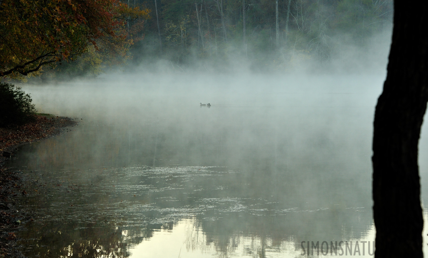 [135 mm, 1/60 sec at f / 9.0, ISO 500]